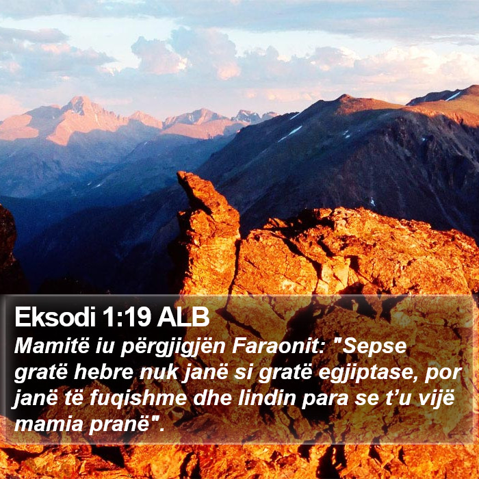 Eksodi 1:19 ALB Bible Study