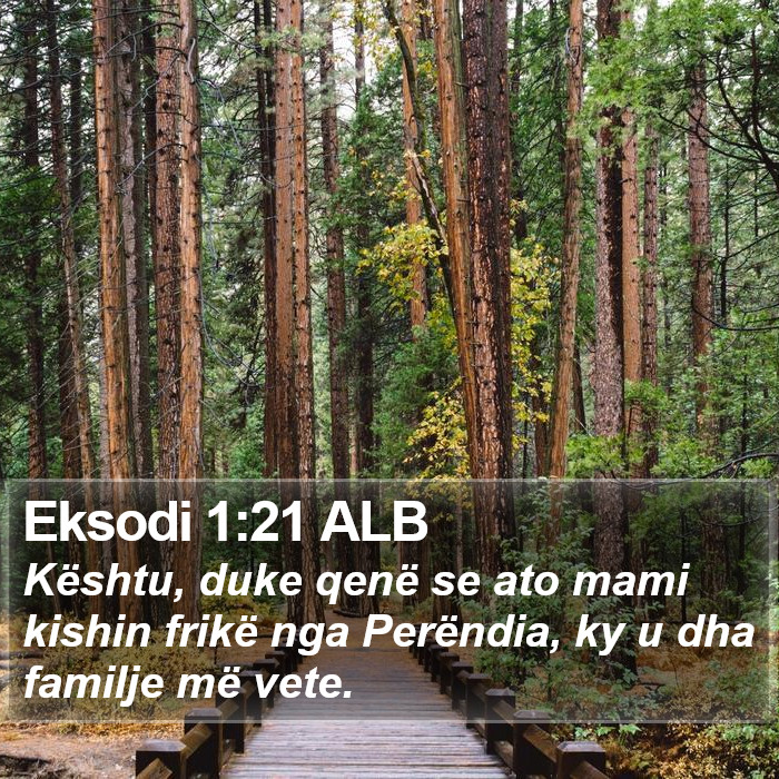 Eksodi 1:21 ALB Bible Study