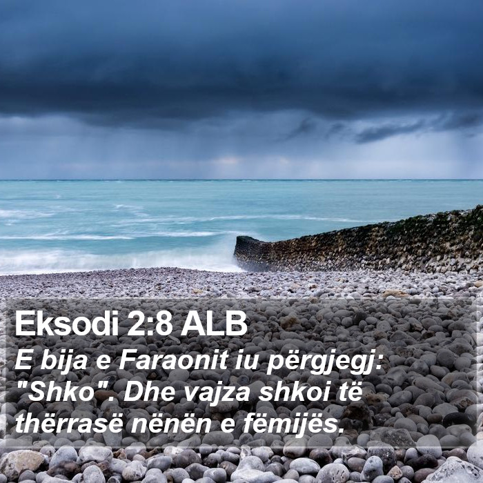 Eksodi 2:8 ALB Bible Study