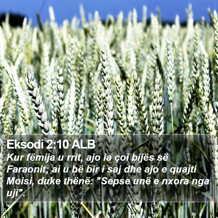 Eksodi 2:10 ALB Bible Study