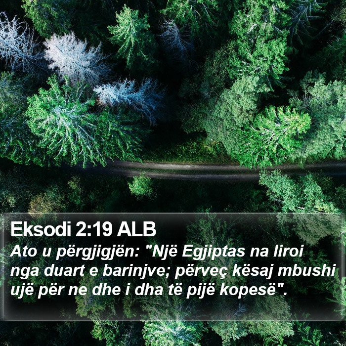 Eksodi 2:19 ALB Bible Study