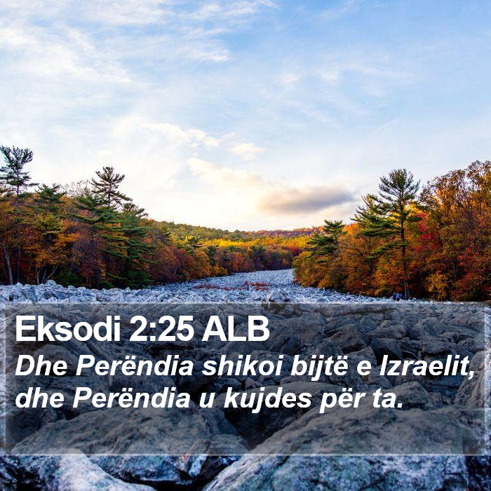 Eksodi 2:25 ALB Bible Study