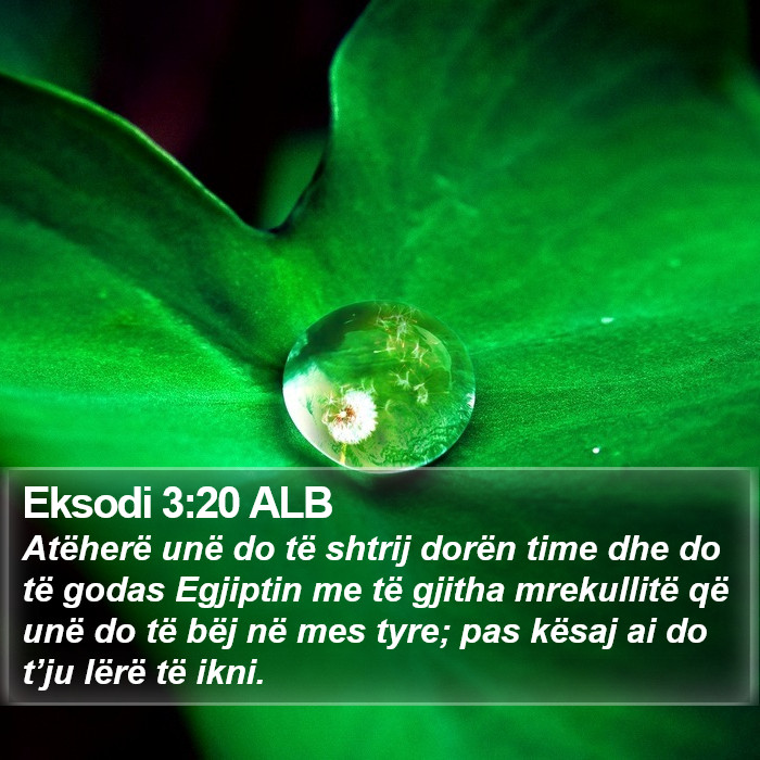 Eksodi 3:20 ALB Bible Study