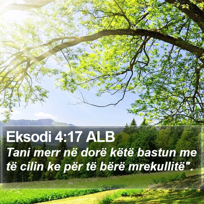 Eksodi 4:17 ALB Bible Study