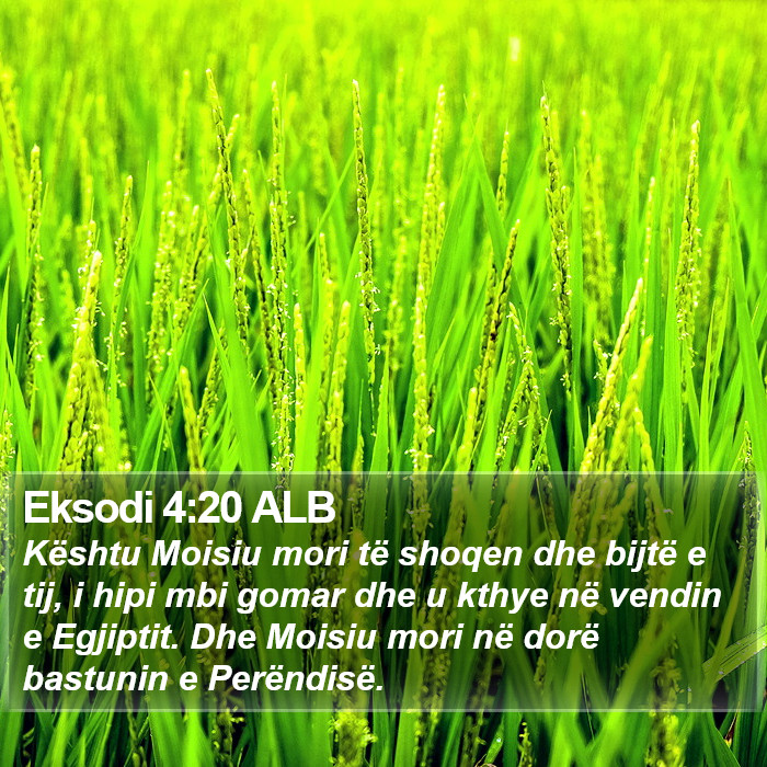 Eksodi 4:20 ALB Bible Study