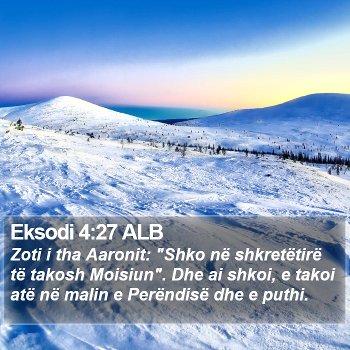 Eksodi 4:27 ALB Bible Study