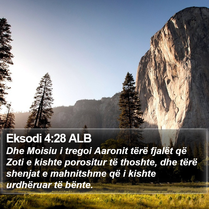 Eksodi 4:28 ALB Bible Study