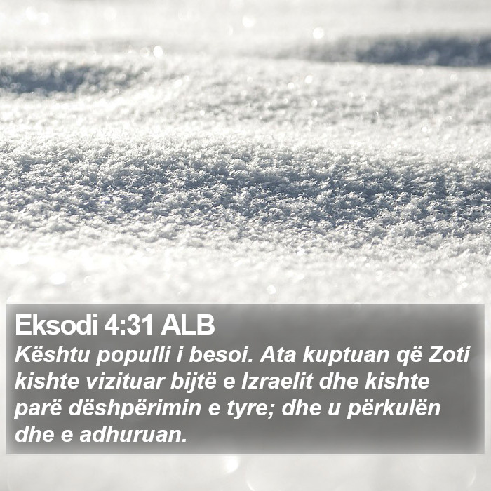 Eksodi 4:31 ALB Bible Study