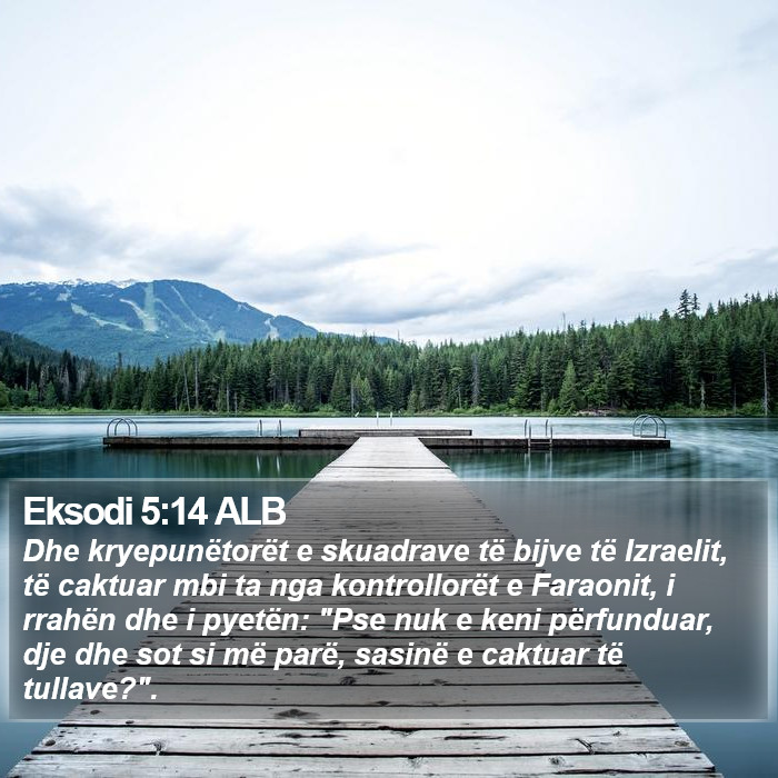 Eksodi 5:14 ALB Bible Study