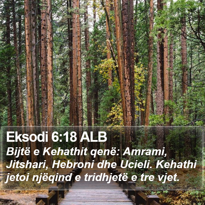 Eksodi 6:18 ALB Bible Study