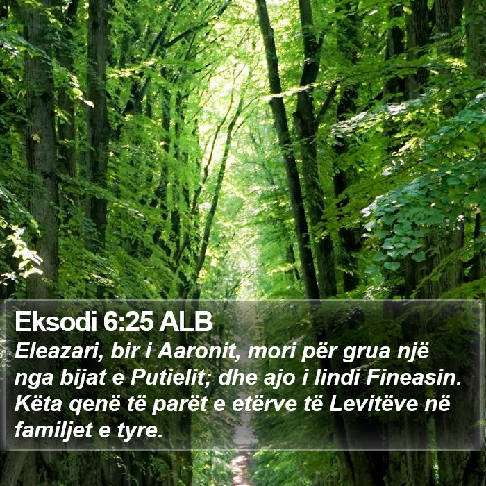 Eksodi 6:25 ALB Bible Study