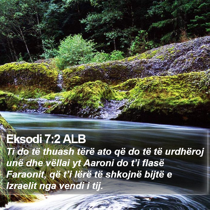 Eksodi 7:2 ALB Bible Study