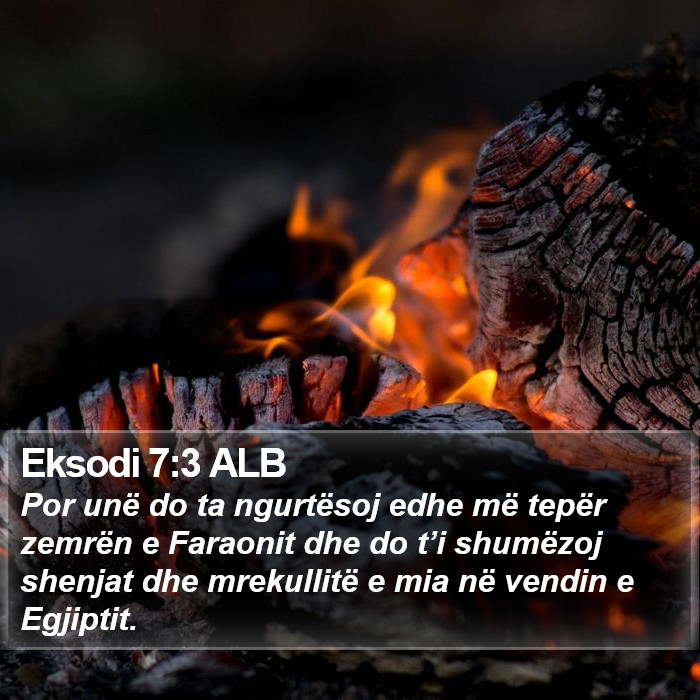 Eksodi 7:3 ALB Bible Study