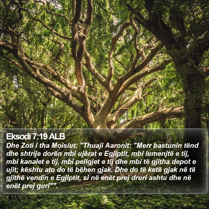 Eksodi 7:19 ALB Bible Study