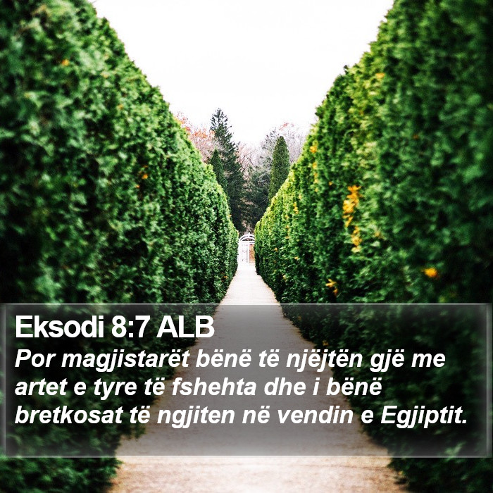 Eksodi 8:7 ALB Bible Study