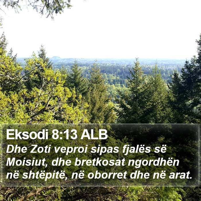 Eksodi 8:13 ALB Bible Study