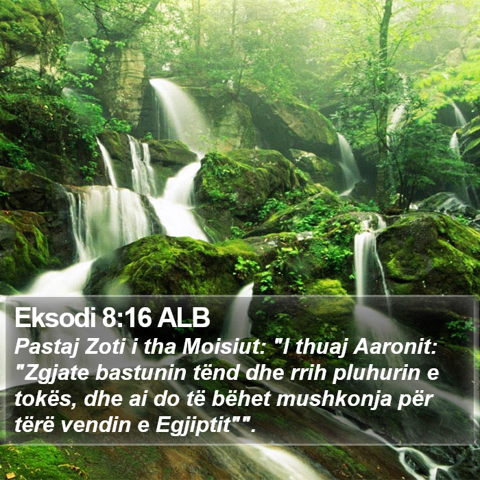 Eksodi 8:16 ALB Bible Study