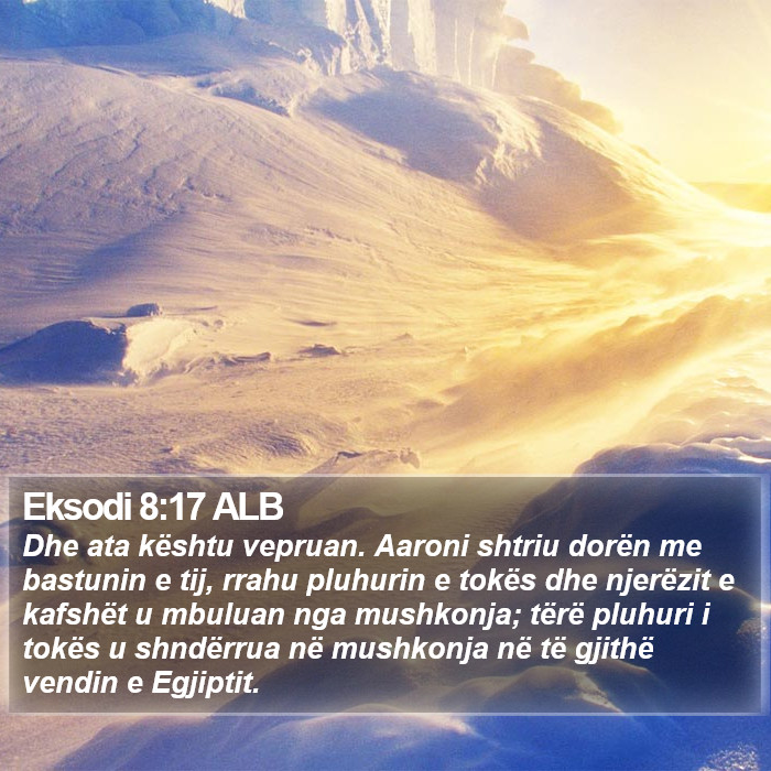 Eksodi 8:17 ALB Bible Study