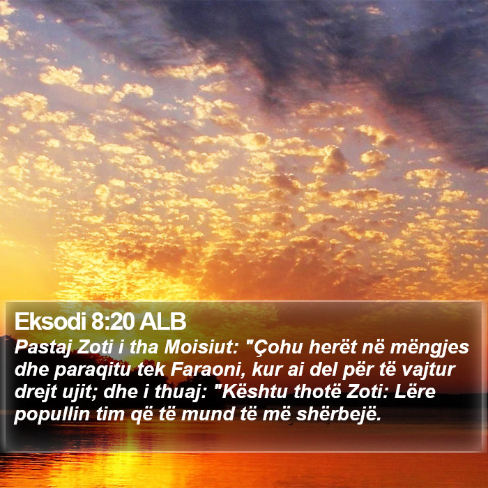 Eksodi 8:20 ALB Bible Study