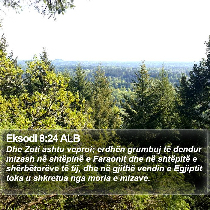 Eksodi 8:24 ALB Bible Study