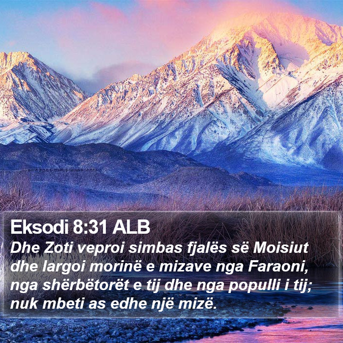 Eksodi 8:31 ALB Bible Study