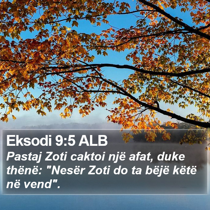 Eksodi 9:5 ALB Bible Study