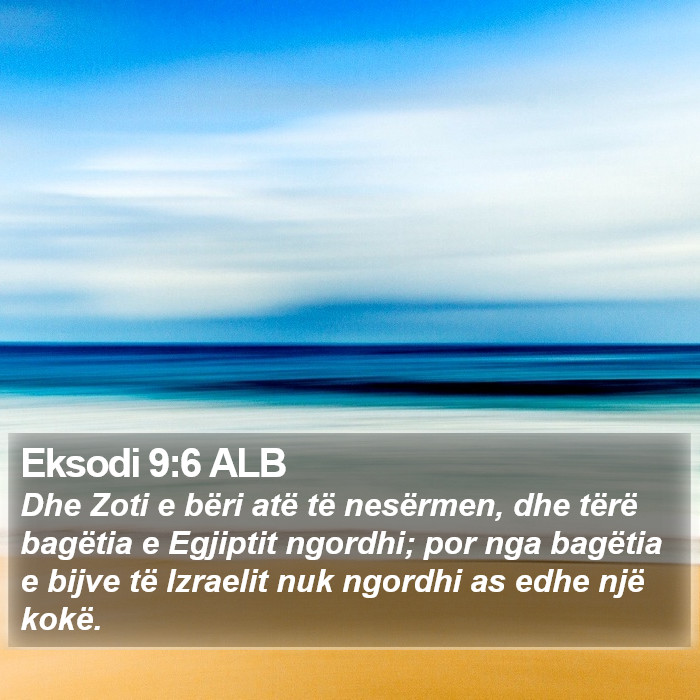 Eksodi 9:6 ALB Bible Study
