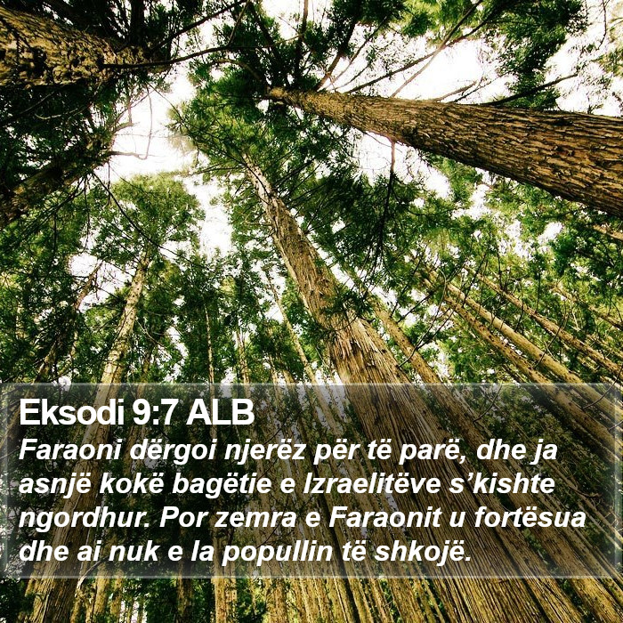 Eksodi 9:7 ALB Bible Study