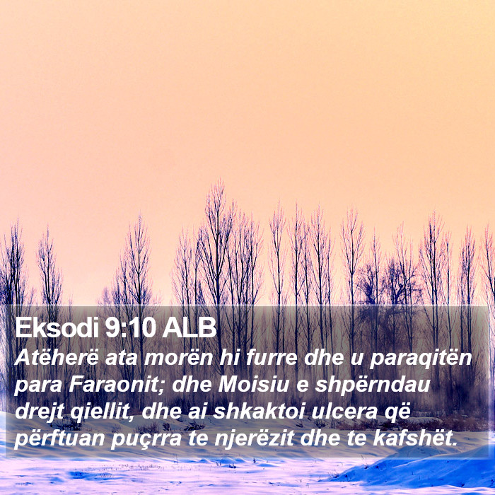 Eksodi 9:10 ALB Bible Study