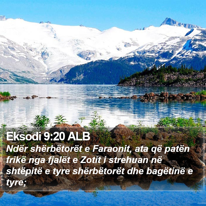 Eksodi 9:20 ALB Bible Study