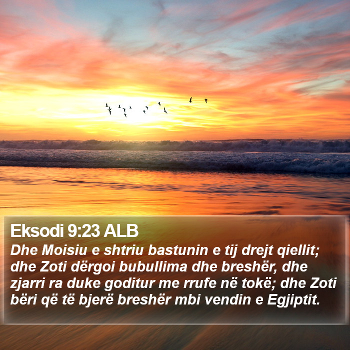 Eksodi 9:23 ALB Bible Study