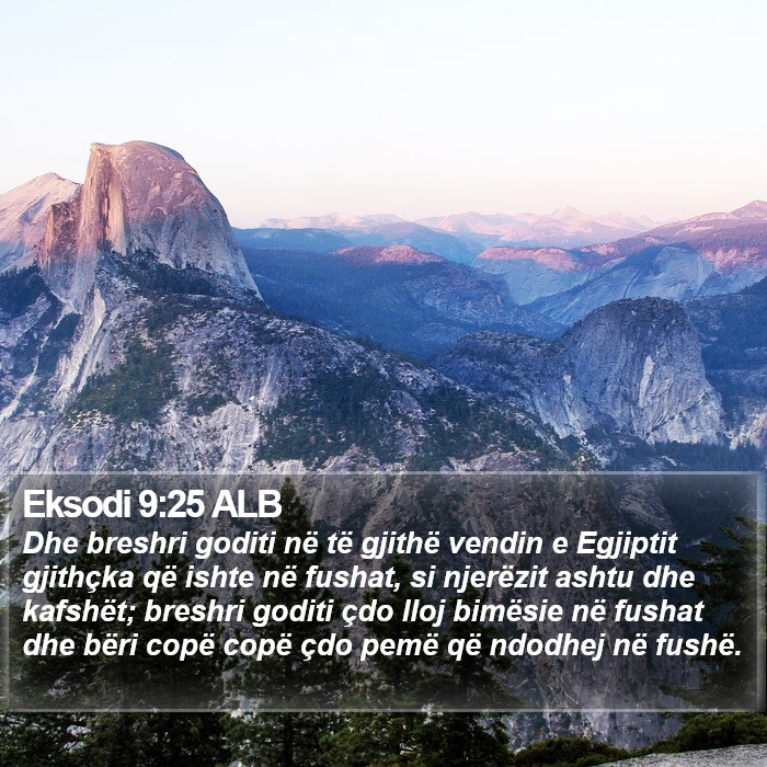 Eksodi 9:25 ALB Bible Study