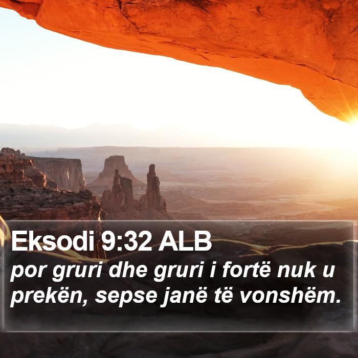 Eksodi 9:32 ALB Bible Study