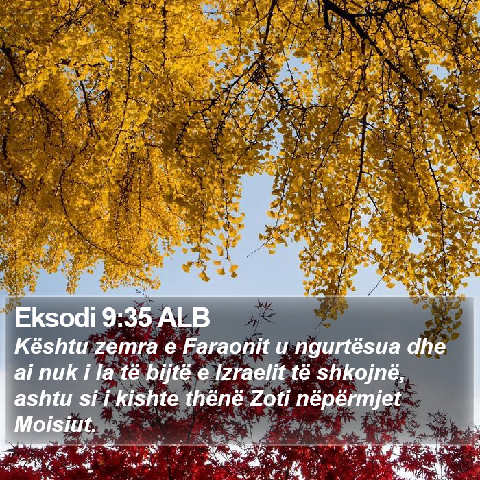 Eksodi 9:35 ALB Bible Study