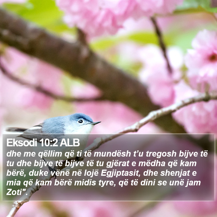 Eksodi 10:2 ALB Bible Study