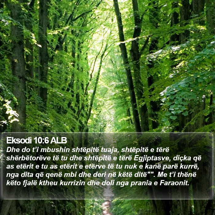 Eksodi 10:6 ALB Bible Study