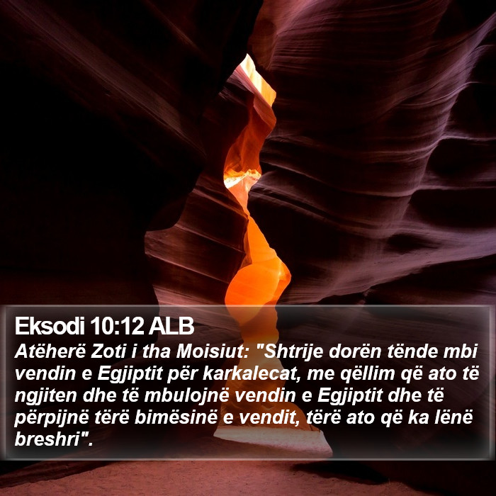Eksodi 10:12 ALB Bible Study
