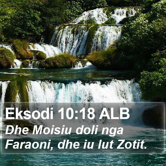 Eksodi 10:18 ALB Bible Study