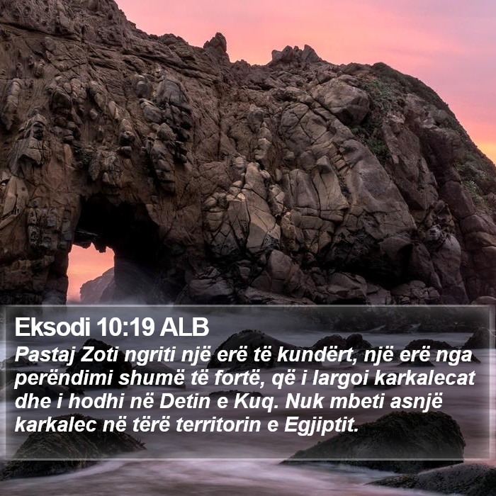 Eksodi 10:19 ALB Bible Study