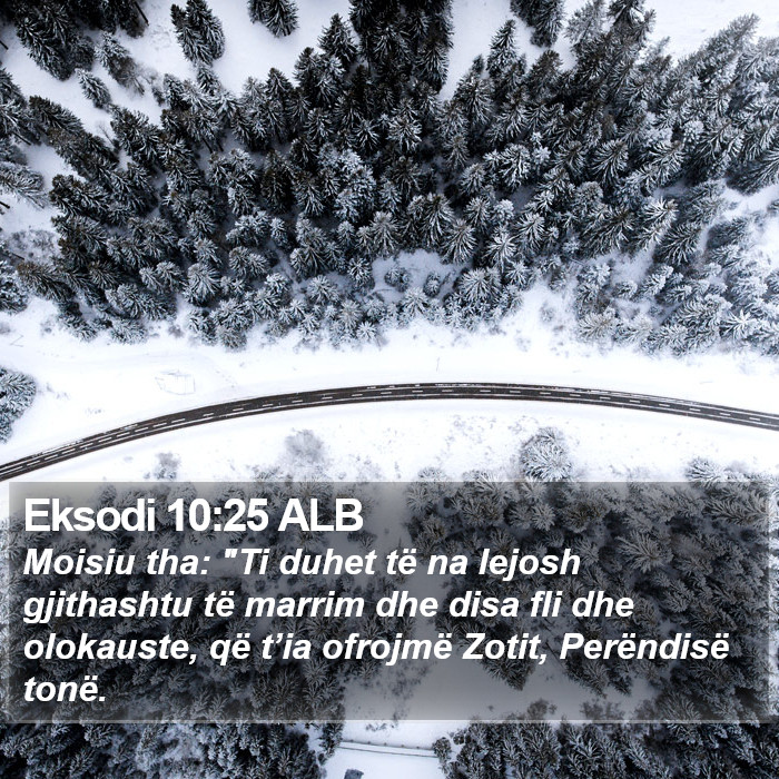 Eksodi 10:25 ALB Bible Study