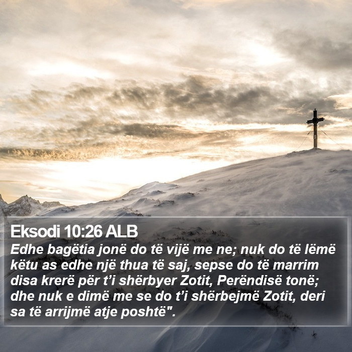 Eksodi 10:26 ALB Bible Study