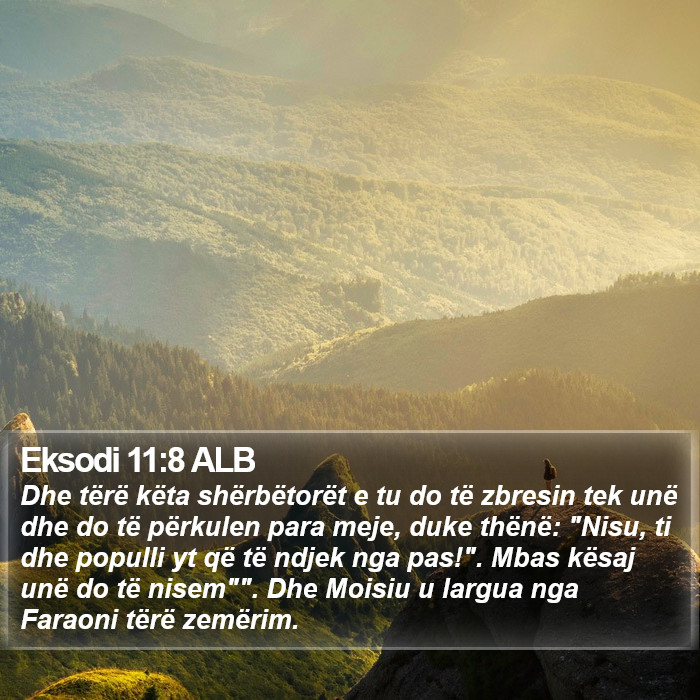 Eksodi 11:8 ALB Bible Study
