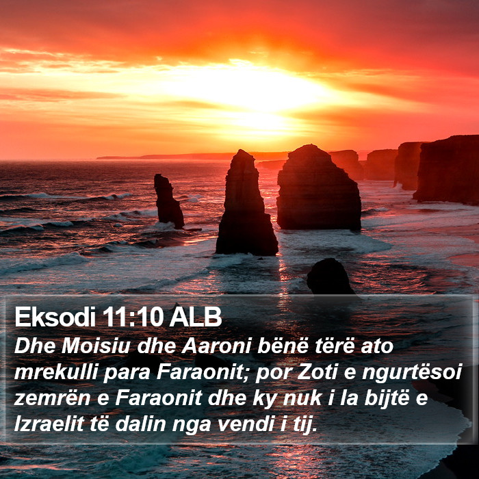 Eksodi 11:10 ALB Bible Study