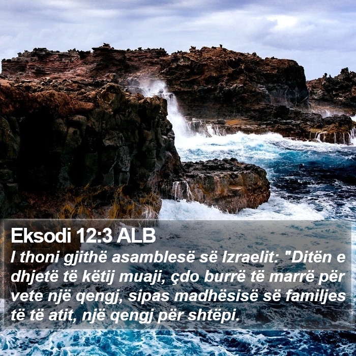 Eksodi 12:3 ALB Bible Study