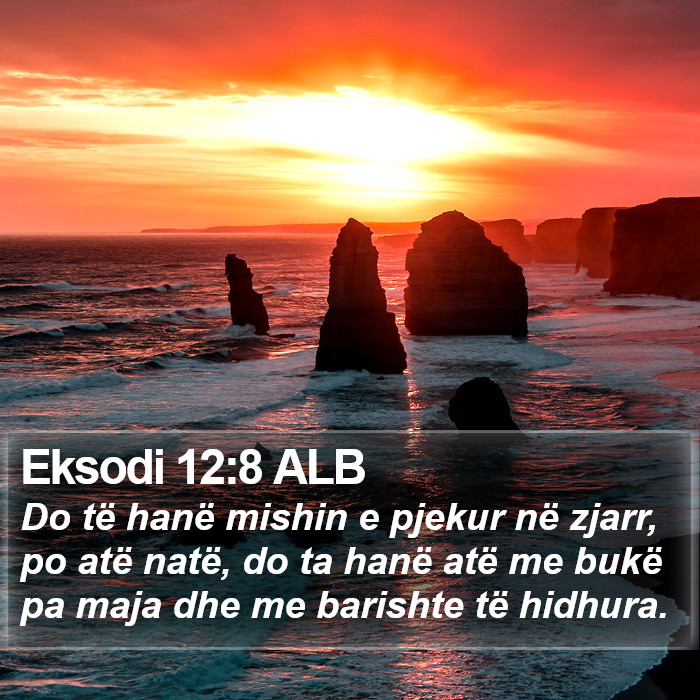 Eksodi 12:8 ALB Bible Study