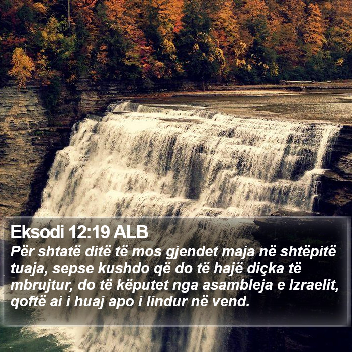 Eksodi 12:19 ALB Bible Study