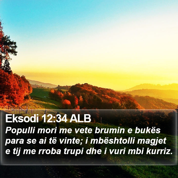 Eksodi 12:34 ALB Bible Study