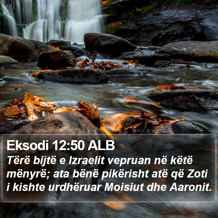 Eksodi 12:50 ALB Bible Study