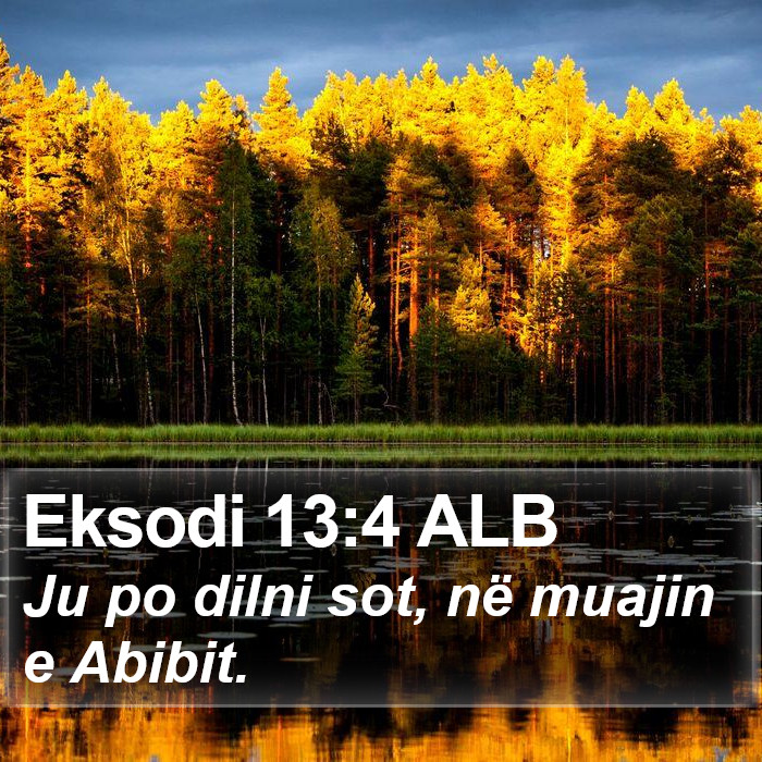 Eksodi 13:4 ALB Bible Study