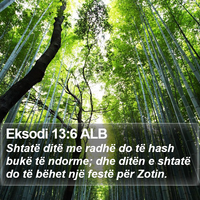 Eksodi 13:6 ALB Bible Study